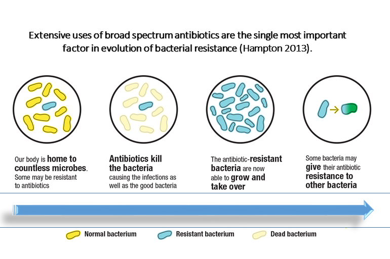 Bactericidal Property of Oregano Oil Against Multidrug-Resistant ...